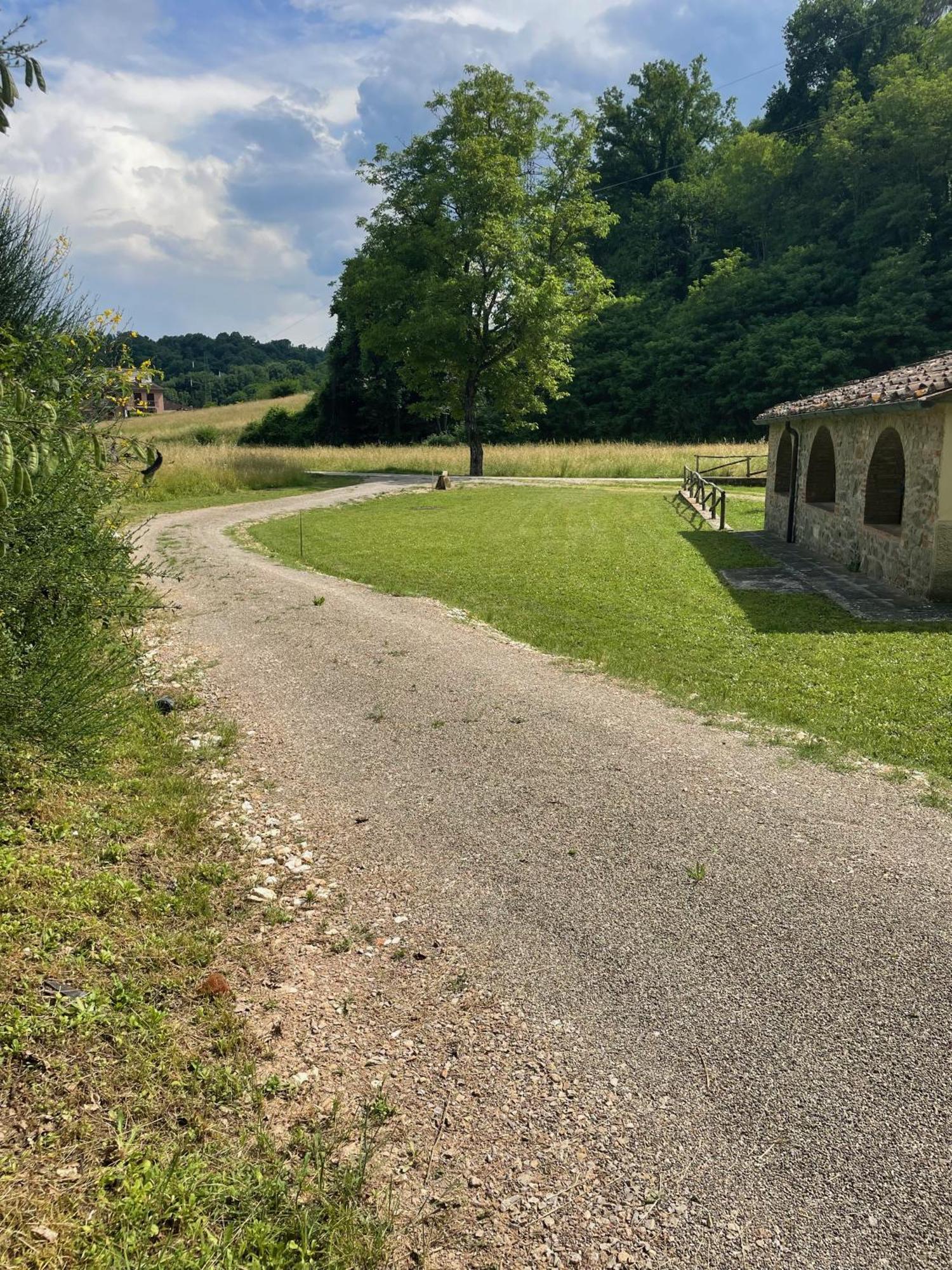 Gioconda casa vacanze Villa Montevarchi Esterno foto